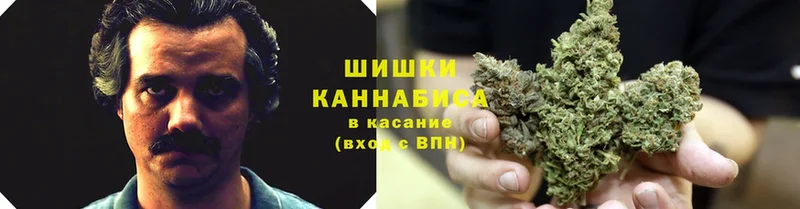 Шишки марихуана THC 21%  Копейск 